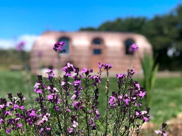 Around the site
