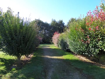 Walk to the pétanque area