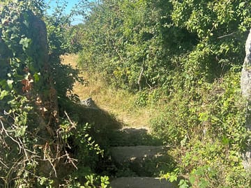 Footpath