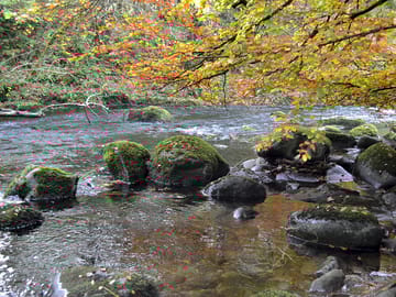 View of the river from the campsite