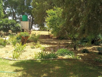 Around the site