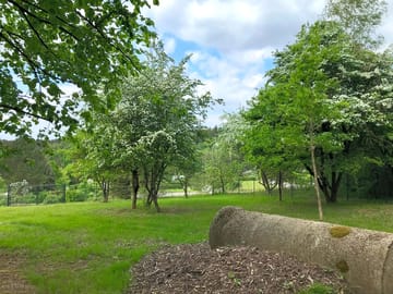 Enclosed dog run
