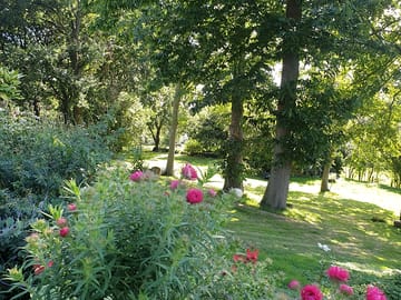 Plantlife around the site