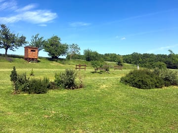 Around the site