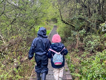 Woodland walk