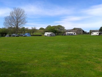 Grass pitches