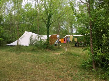 Large pitches under the trees