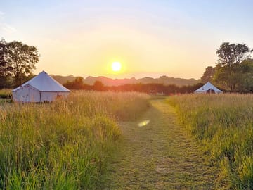 Private Garden areas for each Tent