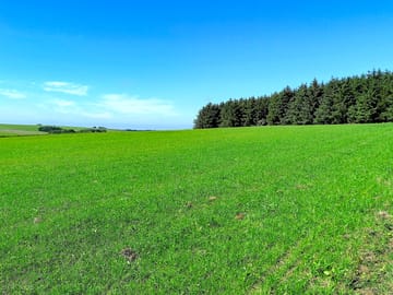 Peaceful and secluded