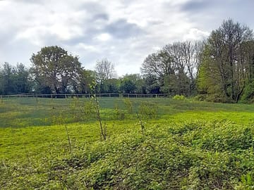 Grassy pitch
