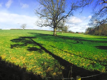The site