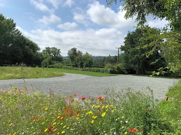 Tracks around the site