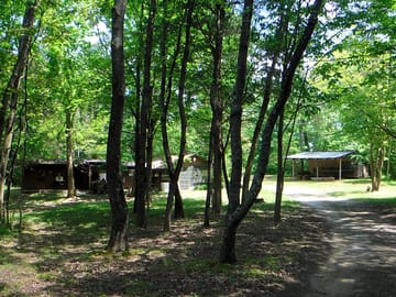 The entrance