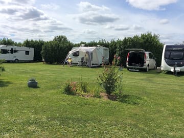 Pitches on grass