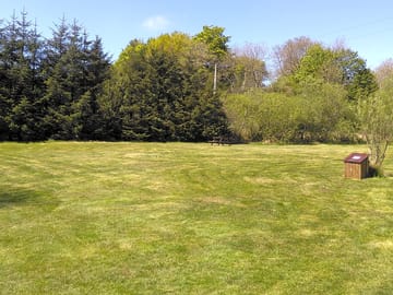 Mown grass