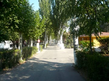 Lane to the site