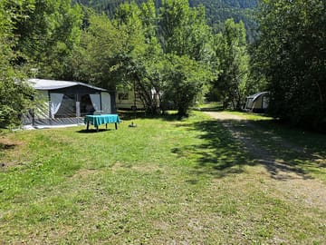Pitches in the forest