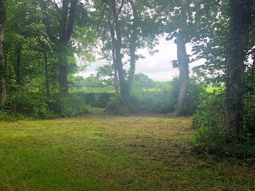 Woodland pitches