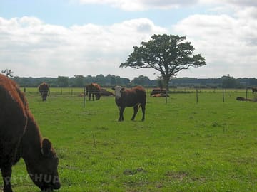Some of our residents
