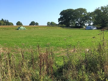The camping field