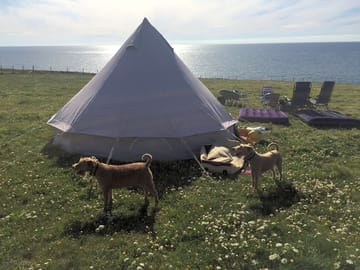 Pitched up