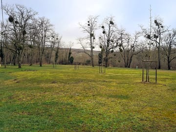 Spacious pitches