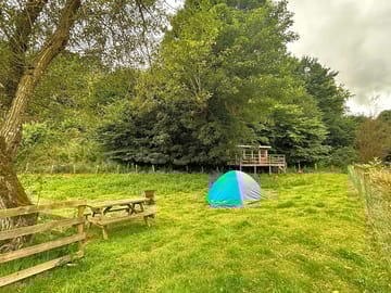 Tent pitches