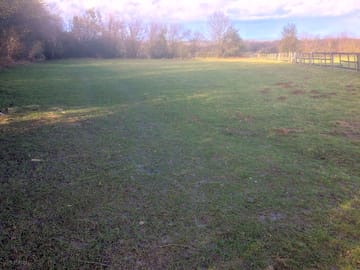 Grass pitches