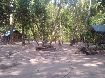 Lots of shade from tropical trees