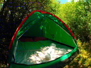 Pitched tent