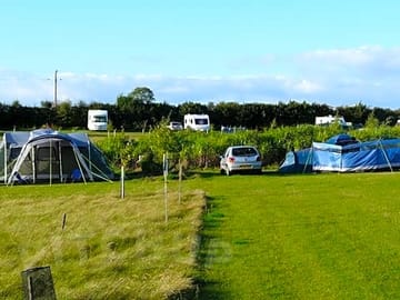 Large pitches accommodate sizeable tents and your car without being too close to your few neighbours