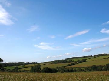 View over the pitches