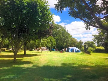 Some of the pitches