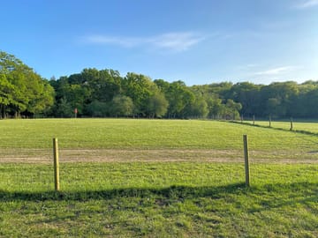Field