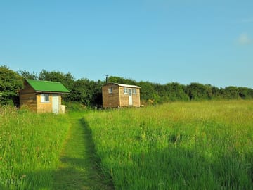 Path through the field