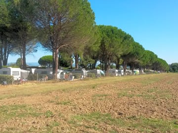 View over the pitches