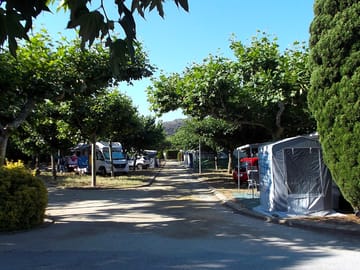 Camping field
