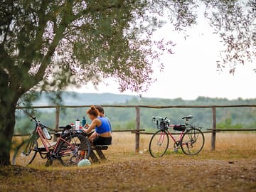 Picnic table under the trees