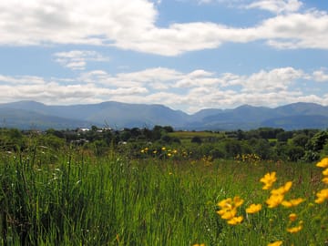 Camping field