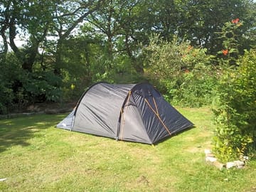 Carole's garden