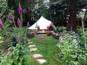 Bell tent garden woodland