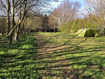Spacious surroundings
