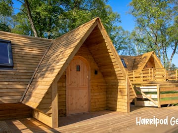 Harripod Gemini