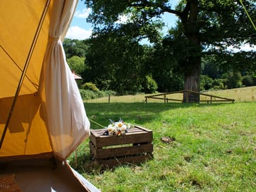 View from the tent