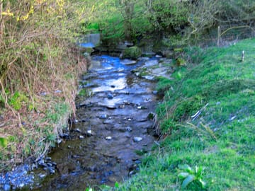 Brook at maes y bryn campsite