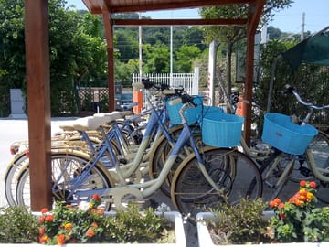 Bike rental