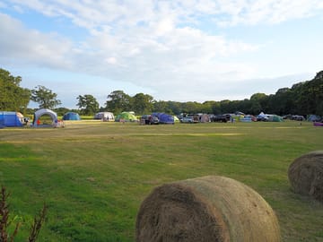 Hay bales