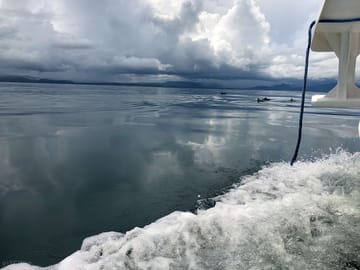 Boat trips