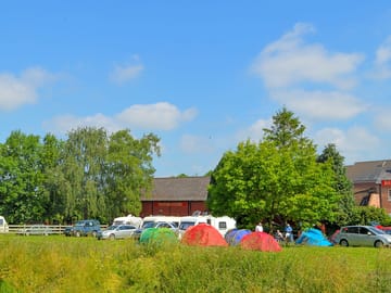 Grass pitches