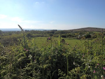 Surrounding area